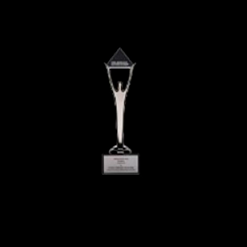 Stevie Award (CSR)